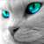 :iconyack88:
