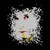 :iconyacuzzi: