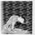 :iconyadeness: