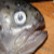 :iconyahou: