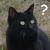 :iconyakumo7umh: