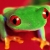 :iconyalandarion: