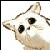 :iconyamakoneko: