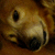 :iconyami-zero: