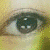 :iconYamini-Sakuma: