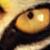 :iconyaniefireheart: