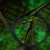 :iconyanstofurst: