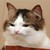YaoiLoverForEver69 :iconyaoiloverforever69: