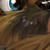 :iconyaou76: