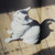 :iconyaozhifeng26zhifewn: