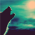:iconyappingjackal: