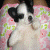 :iconyaranolee: