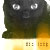 :iconyarb: