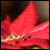 :iconyarw: