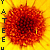 :iconyatim: