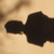 :iconyay4warriorcats: