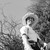 :iconyayar73: