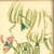 :iconyayumi: