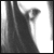 :iconyazookira: