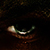 :iconYBDesigns: