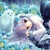 :iconyd-love: