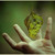 :iconydarissep11: