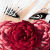 :iconyelena666aneley: