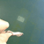 :iconyellow-coffee: