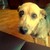 :iconyellow-eyes25: