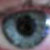 :iconyellow-page: