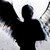 :iconyellowangelx3: