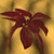 :iconyellowcakepictures: