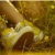 :iconyellowchucks: