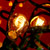 :iconyellowgrass: