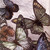 :iconyellowlacquer: