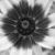 :iconyellowluv13: