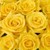 :iconyellowrose1231: