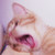 :iconyemaozii: