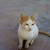 :iconyengk: