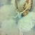 :iconyensiddragon: