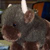 :iconyeobuffalo: