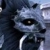 :iconyeosun:
