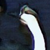 :iconyepo: