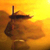 :iconyggdrasil: