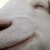 :iconyharrton: