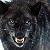 :iconyiffed-by-arcanine: