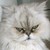 Yiinx :iconyiinx: