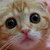 :iconyikiho: