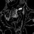 :iconyinga1: