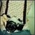 :iconykae: